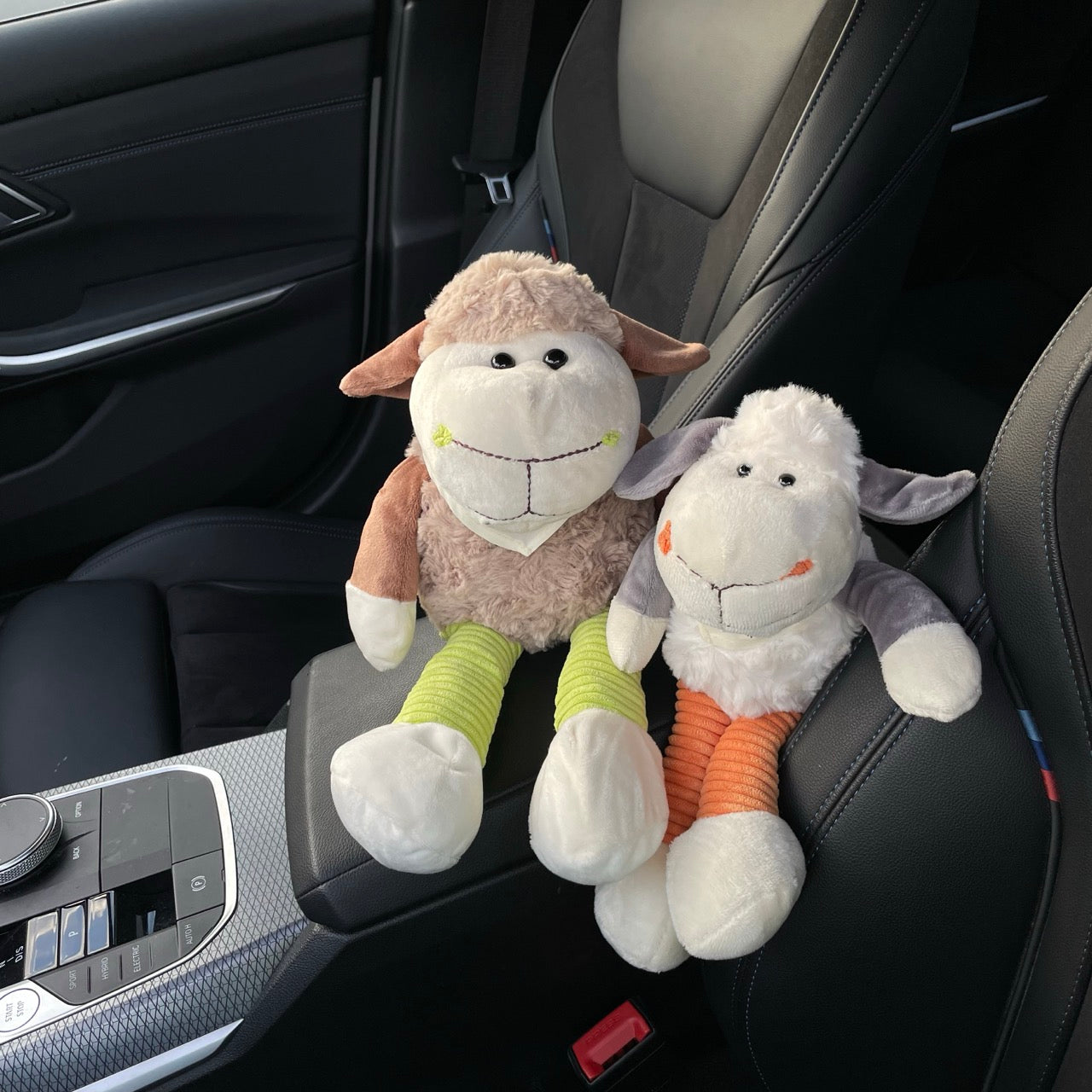 Kuscheltier Schafe sitzen im Auto auf einer Armablage