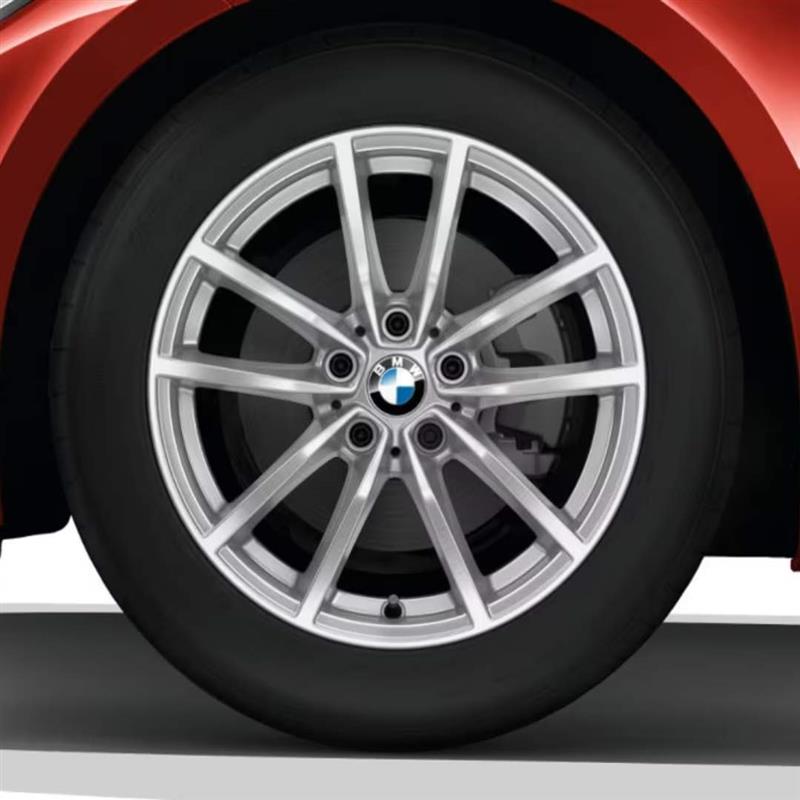 Bild: BMW V-Speiche 778 Reflex Silver 